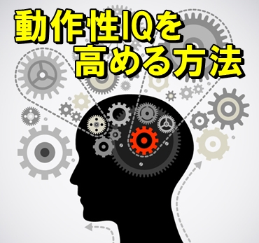 動作性IQと脳のイラスト